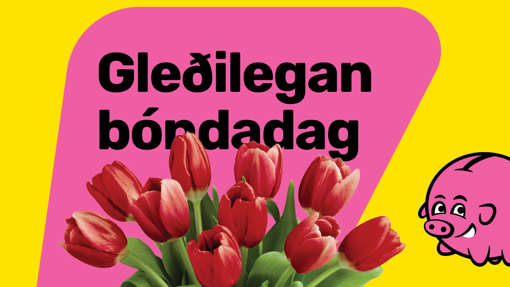 Bónus allra landsmanna | Bónus með þér í liði